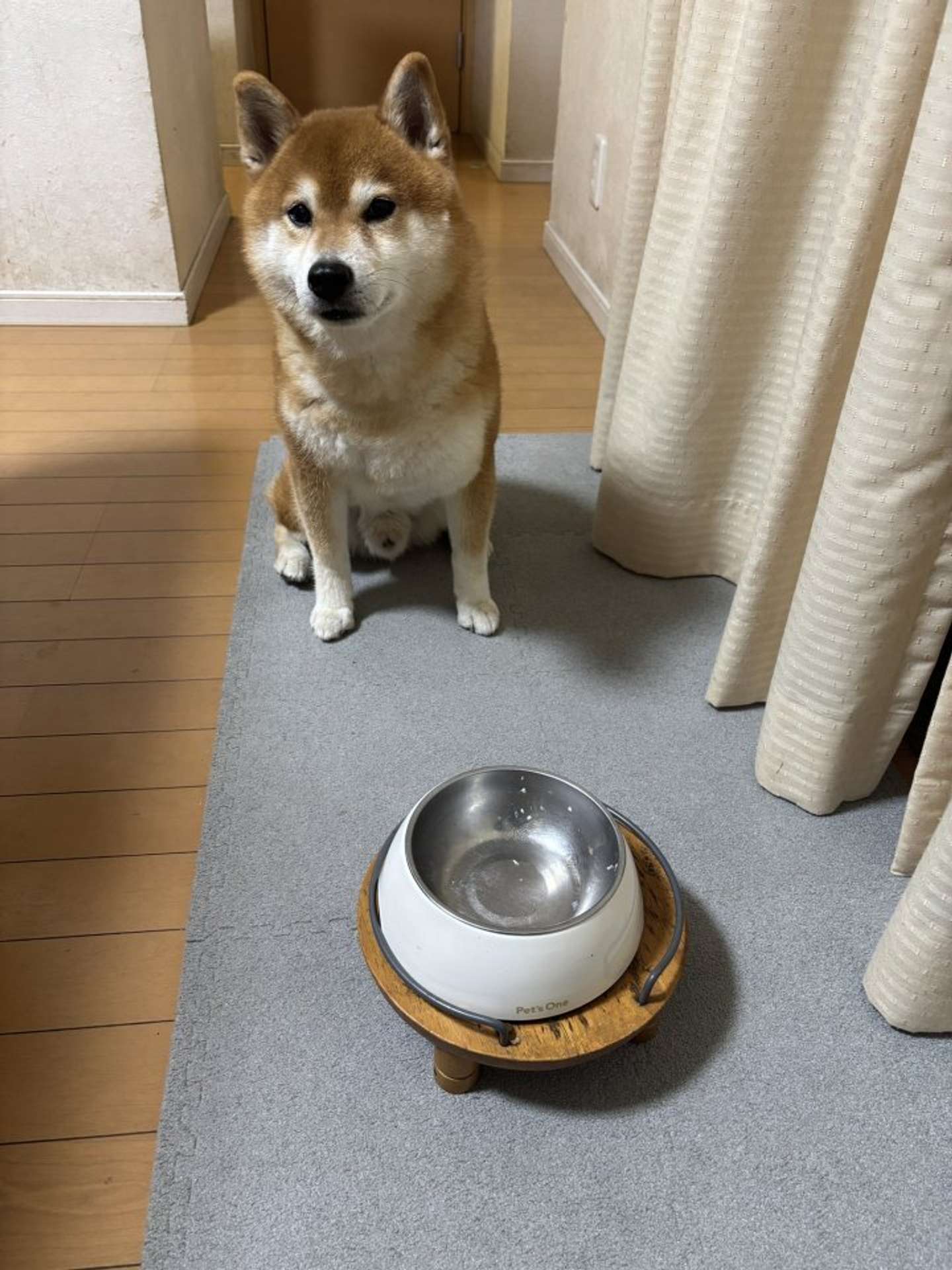 お上手！（画像提供；＠kotaro_changさん）