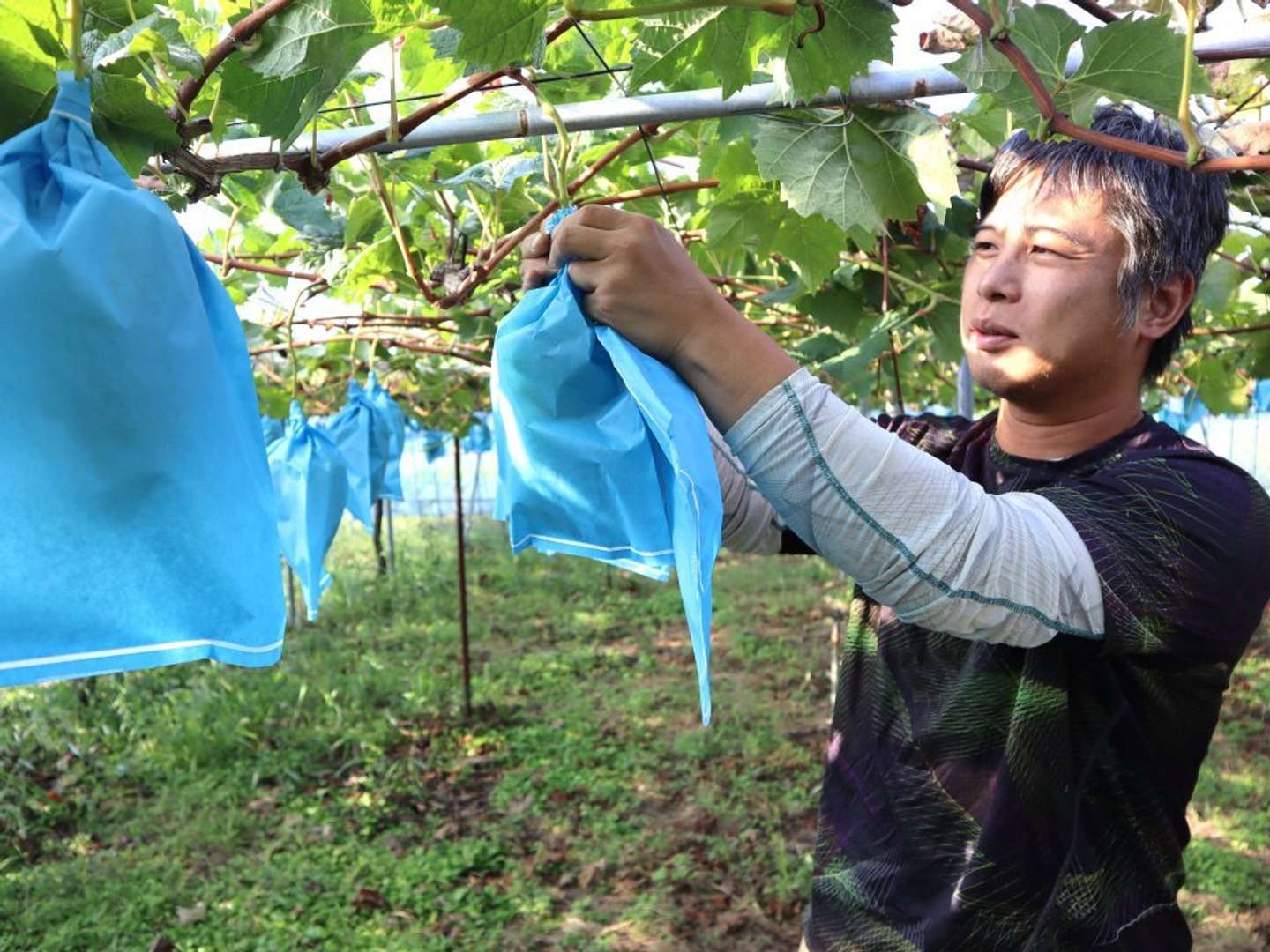 自身で全てを一からデザインできる仕事
