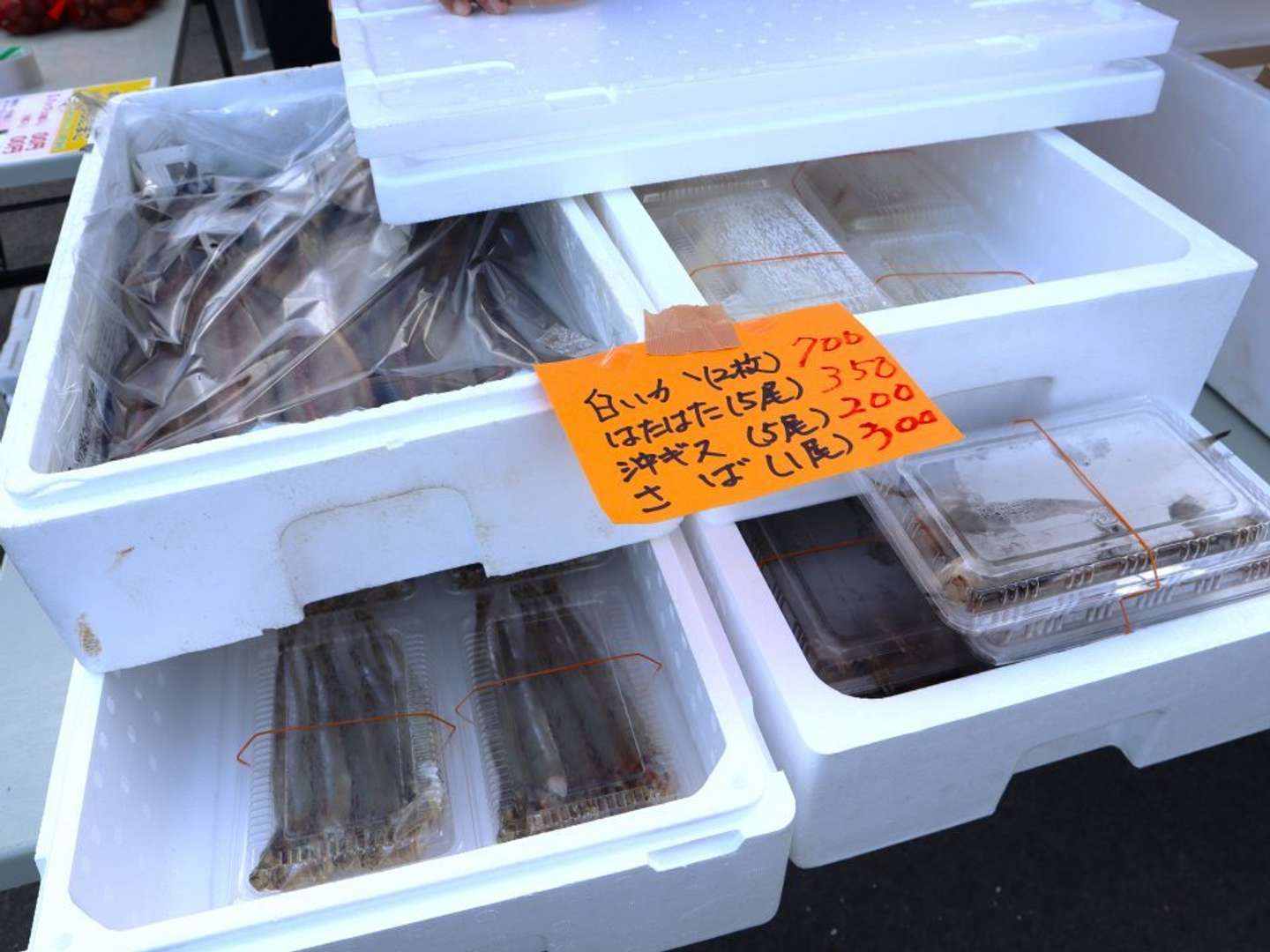 地魚の干物