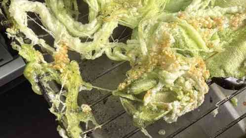 画像提供：＠LovelyTowakun11さん