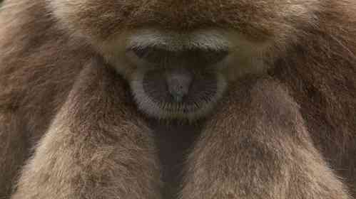 画像提供：おーあ＠kanazawakitechoさん