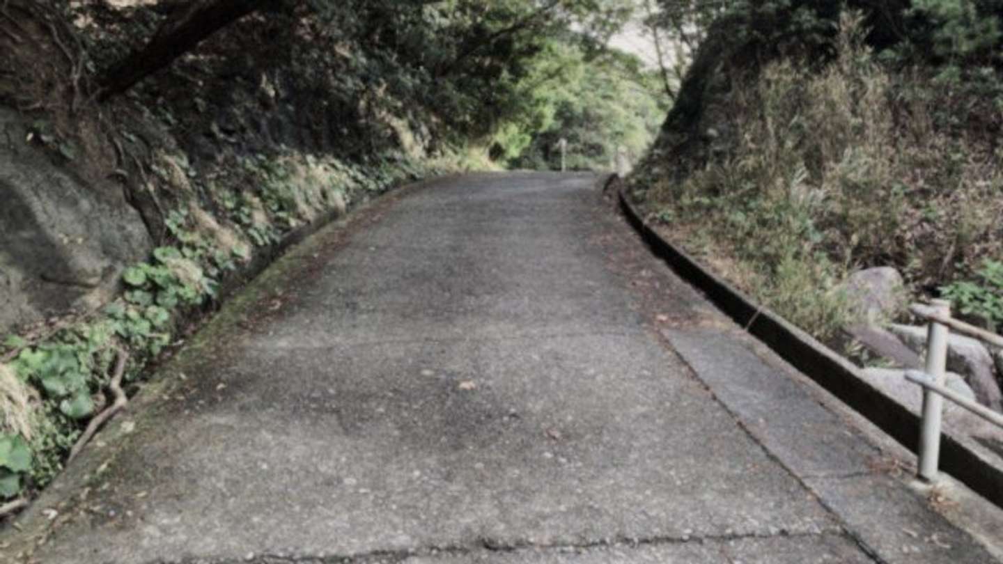 坂道を駆け下りて...（画像はphotoACより、イメージ）