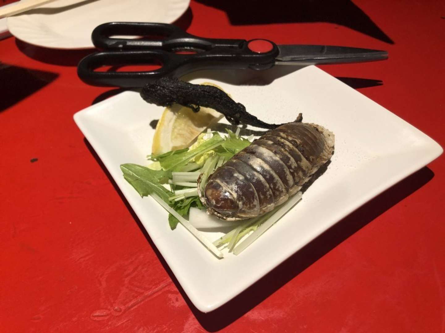 過去にれぴむさんが食べたというオオグソクムシ（画像提供：れぴむさん）