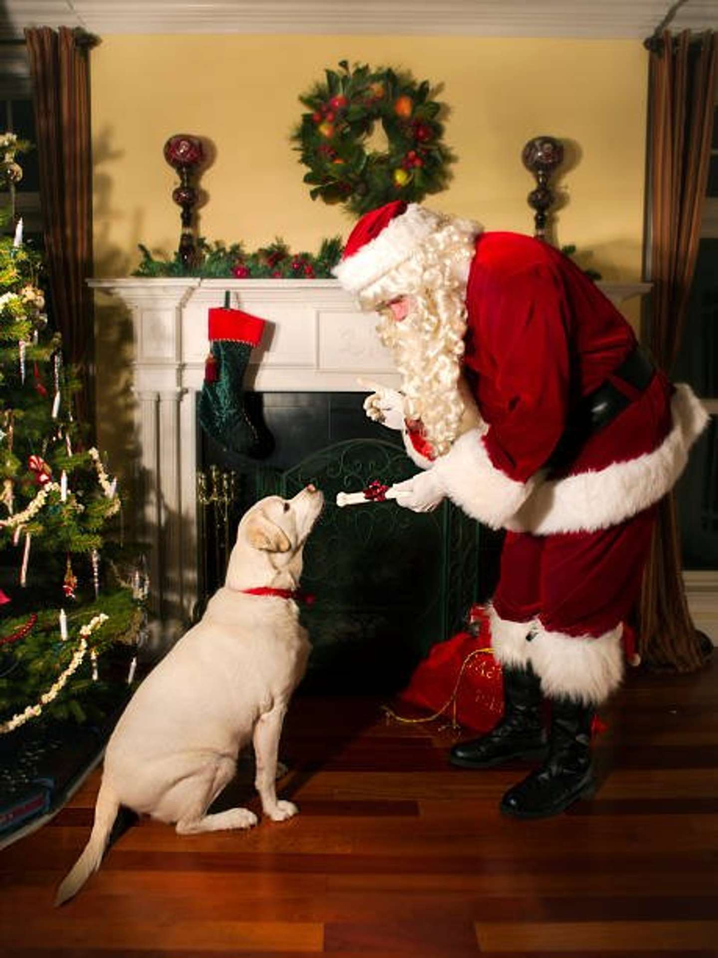 サンタさんからプレゼント！（画像はプレスリリースより）