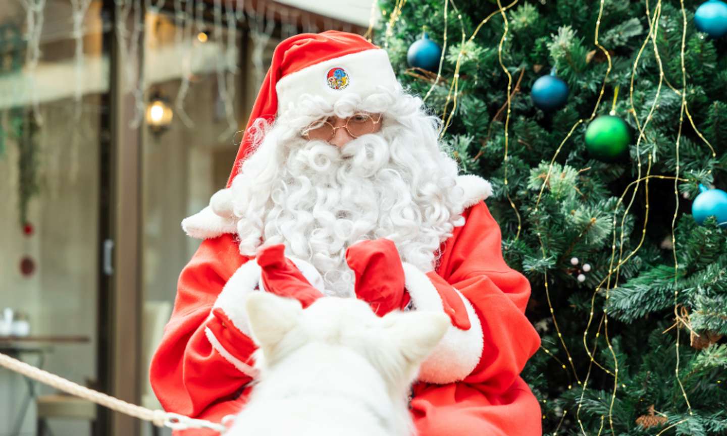 フィンランドから飛んできたぞい（画像はプレスリリースより）