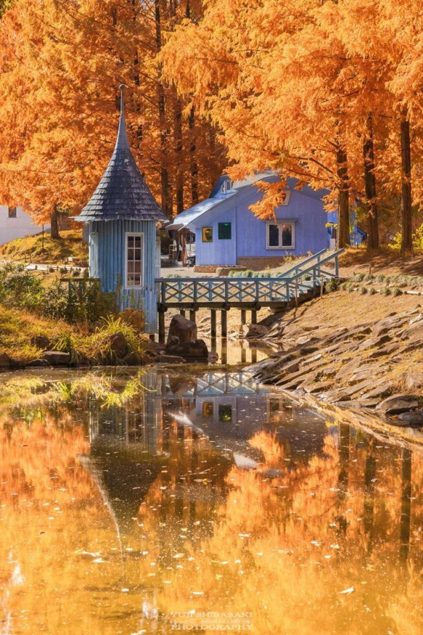 Yuji Shibasaki（＠Yuji_48）さんの投稿より、再掲