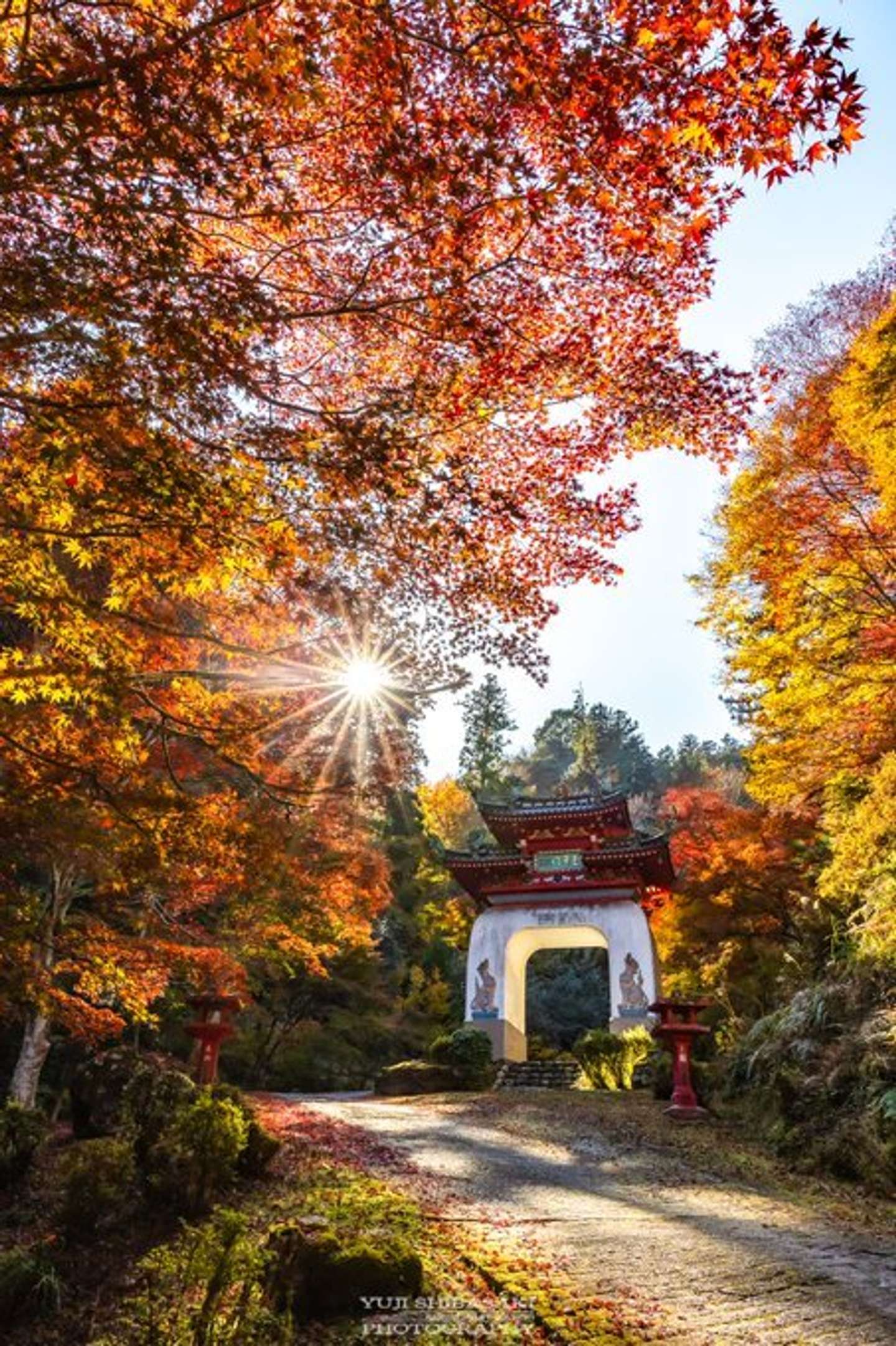 鳥居観音の紅葉（Yuji Shibasaki（＠Yuji_48）さんの投稿より）