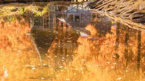 Yuji Shibasaki（＠Yuji_48）さんの投稿より