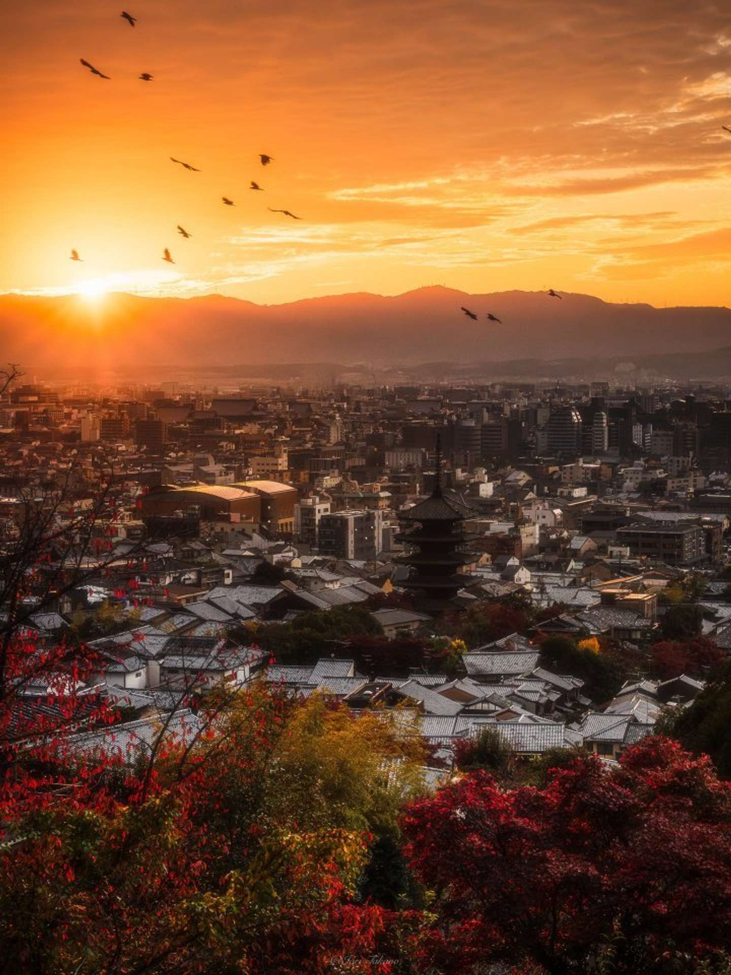 Iori Takano（＠_iori_xx21）さんの投稿より、法観寺「八坂塔」を望む