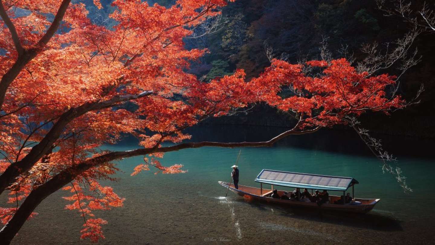 Iori Takano（＠_iori_xx21）さんの投稿より、嵐山の秋