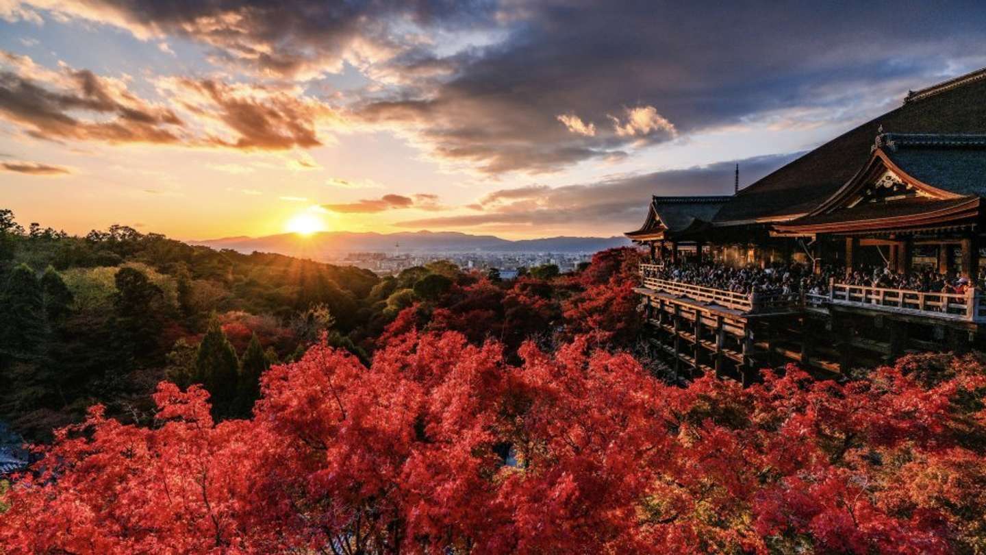 Iori Takano（＠_iori_xx21）さんの投稿より、清水寺の秋