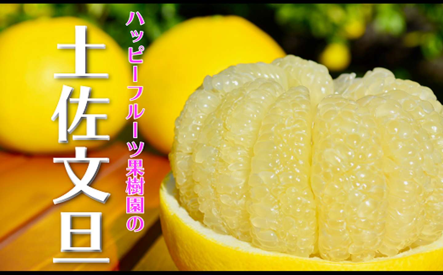 高知県 宿毛市「【選べる 容量】ハッピーフルーツ果樹園 土佐文旦 3kg 5kg 6kg 10kg）」6000円～（ふるさとチョイスより）