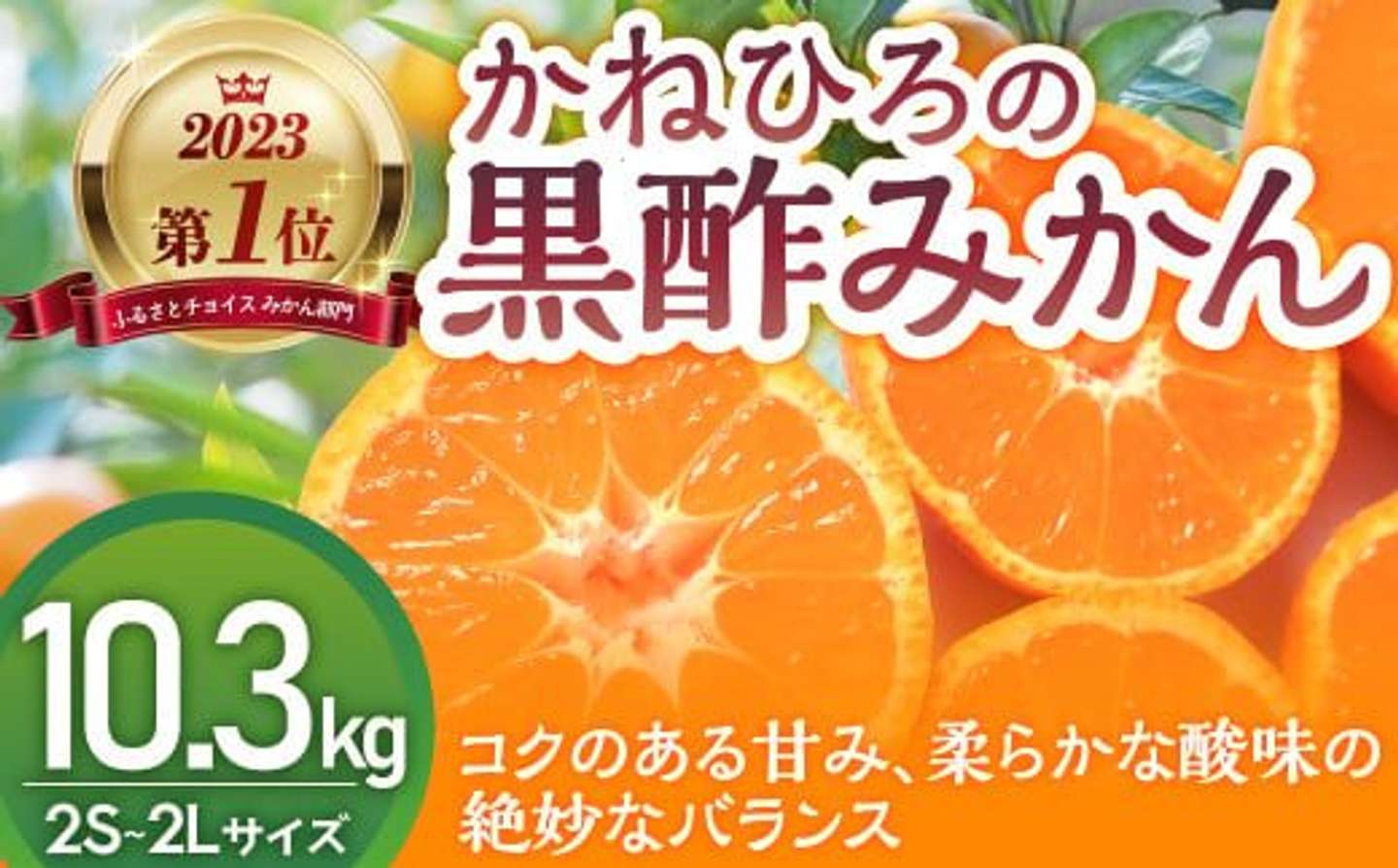【2位】佐賀県 太良町「かねひろの黒酢みかん 【2023年 第1位ふるさとチョイス みかん 部門】10.3kg」14000円（ふるさとチョイスより）