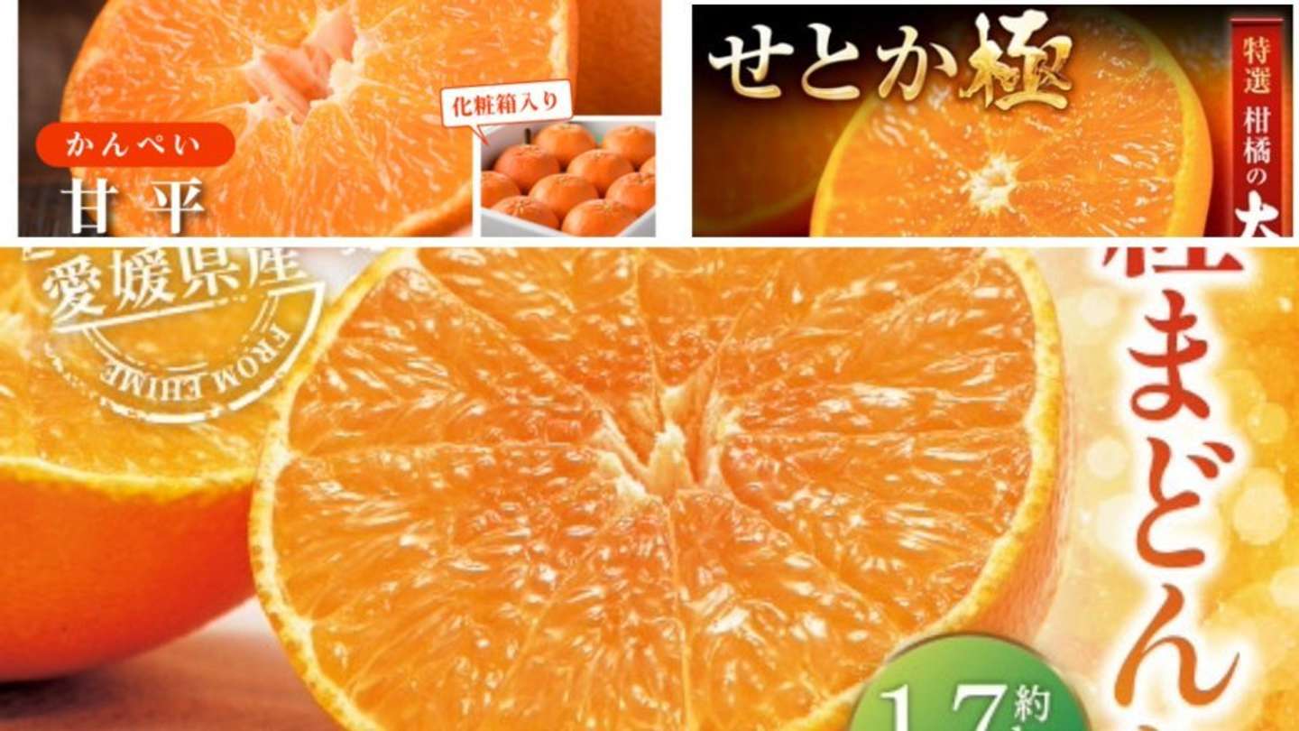 柑橘系 ぷちぷち「甘平」、ゼリーみたいな「紅まどんな」、柑橘の大トロ「せ