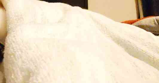 画像はくーさんママ（＠kukuri_shibainu）さん提供