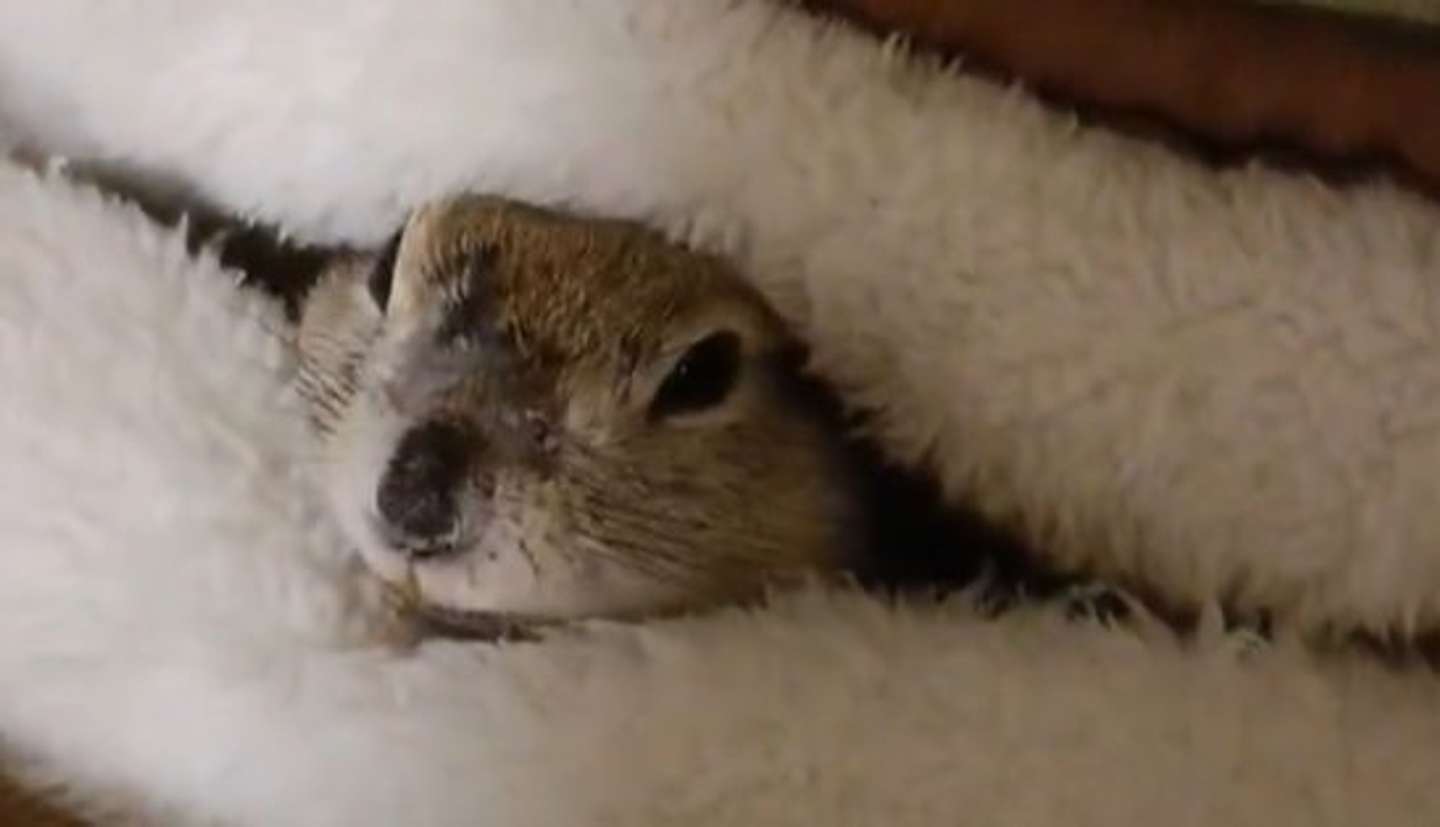 たかすぎS（＠takasugis）さんの投稿より