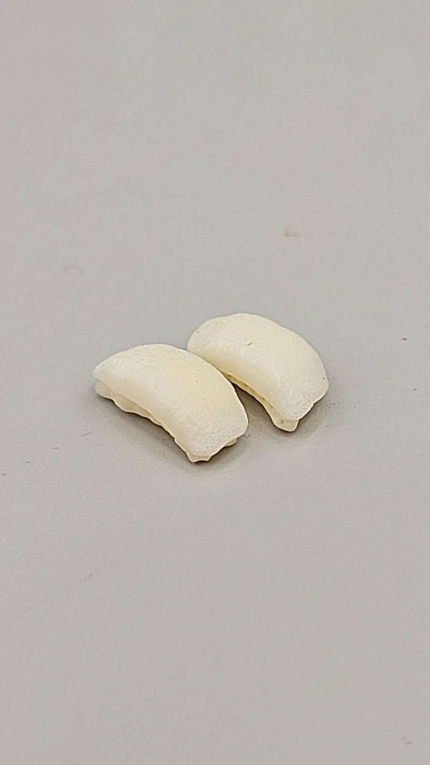 上から見てもやはりそっくり（画像提供：浜名湖体験学習施設ウォット）