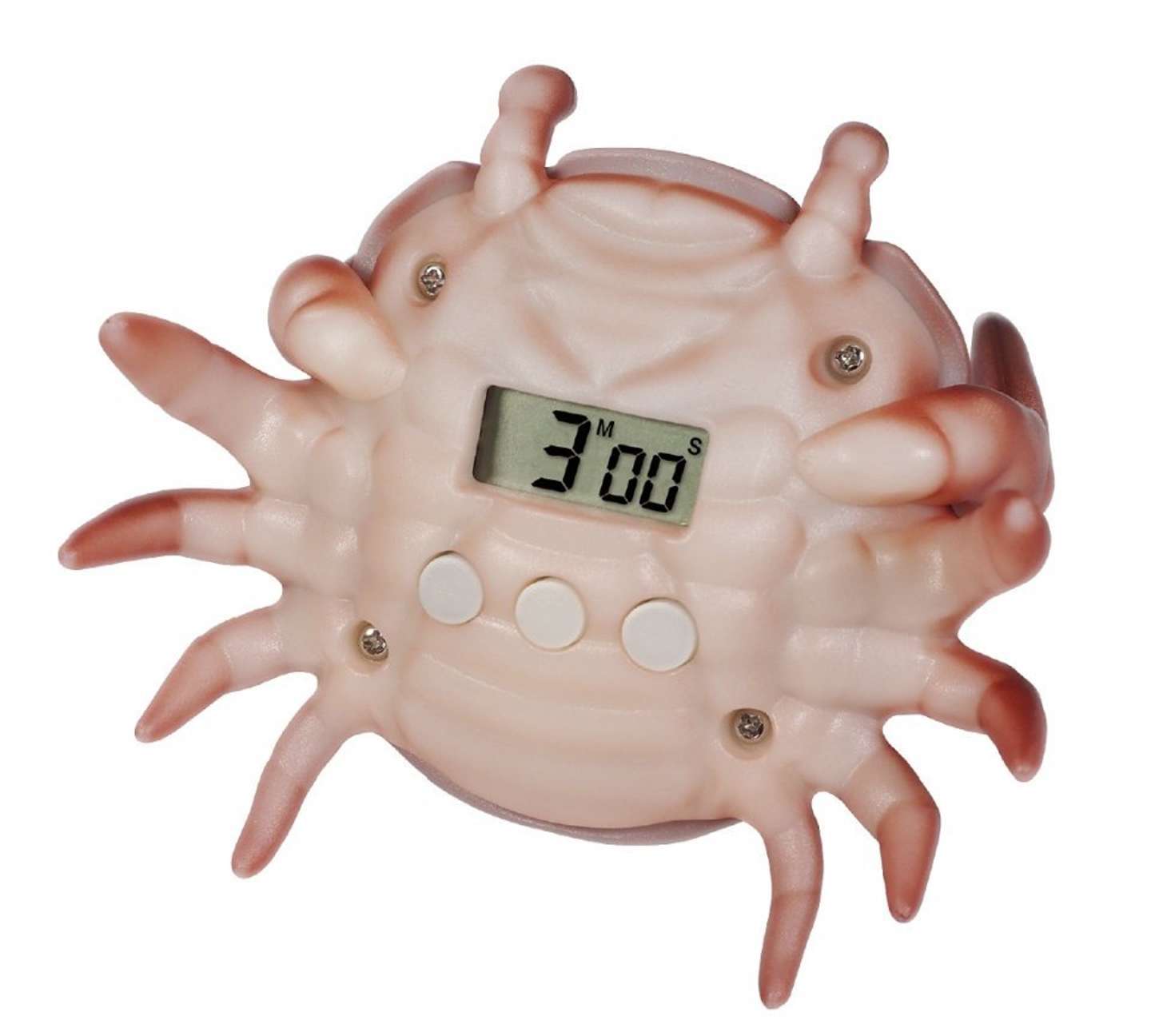 お腹側はこんな感じ（画像提供：ハック）