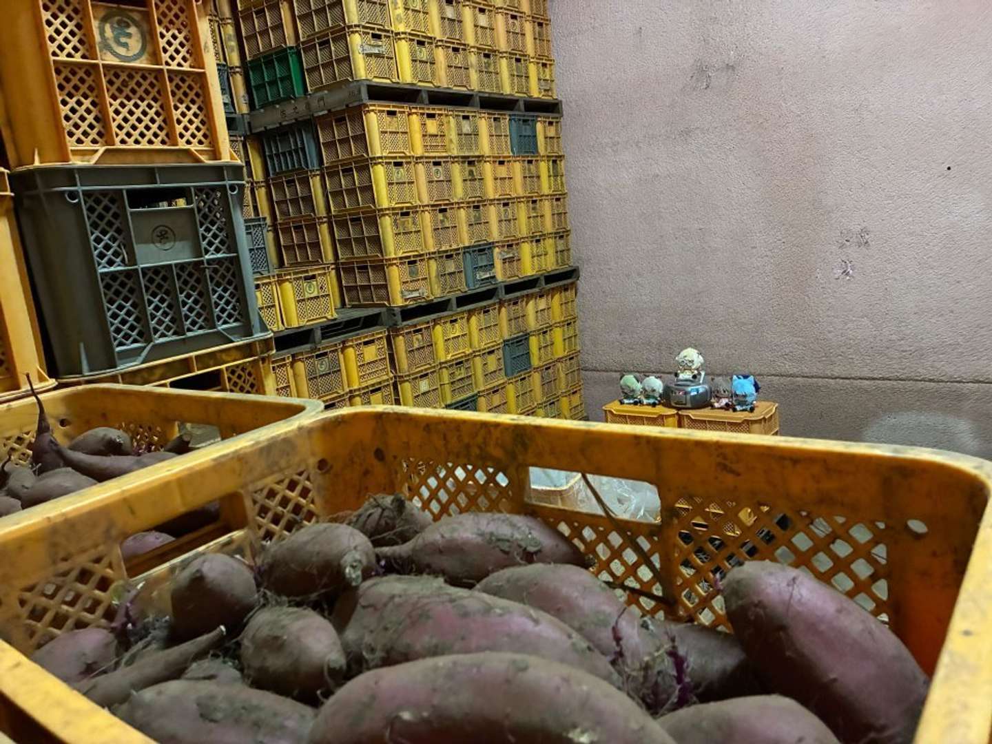 楽曲を聞かせている様子。楽曲は「はねる or Die」「バタフライエフェクト」「イニミニマニモ」「Starring Together!」「星空のエチュード」（画像はプレスリリースより）