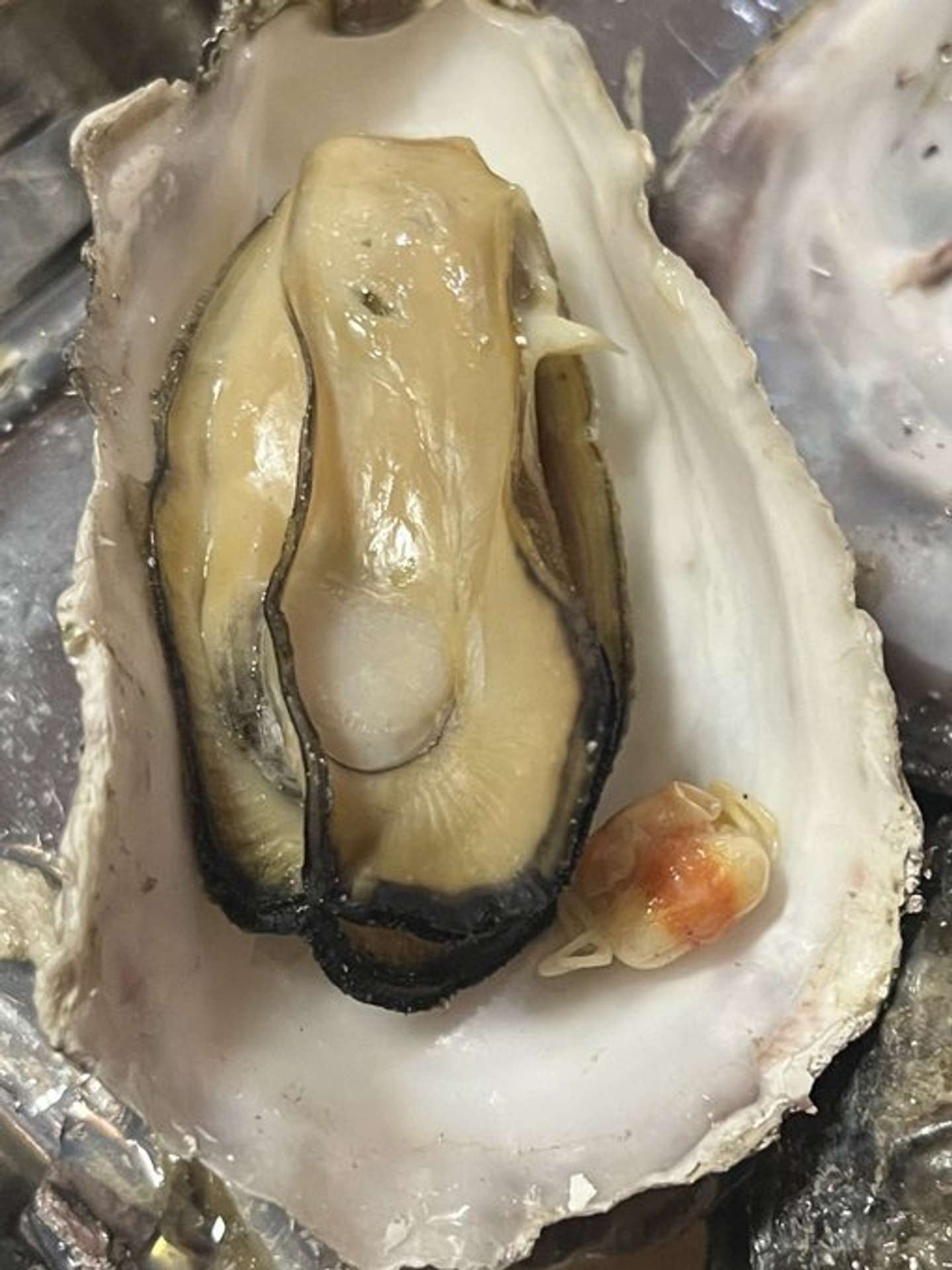 ちんまり（しん　植物オタクな中学生（＠sanyasokun）さんの投稿より）