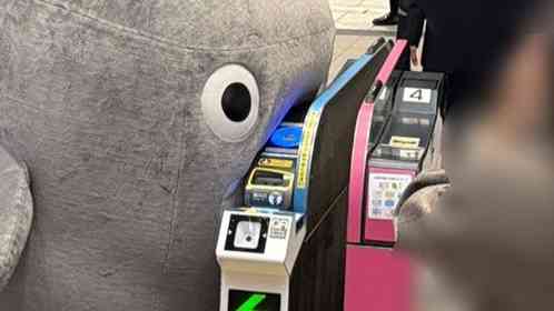 東急「のるるん」に付いていったら→大変なことに！？　愛おしすぎる〝伝統芸〟で1万人にっこり