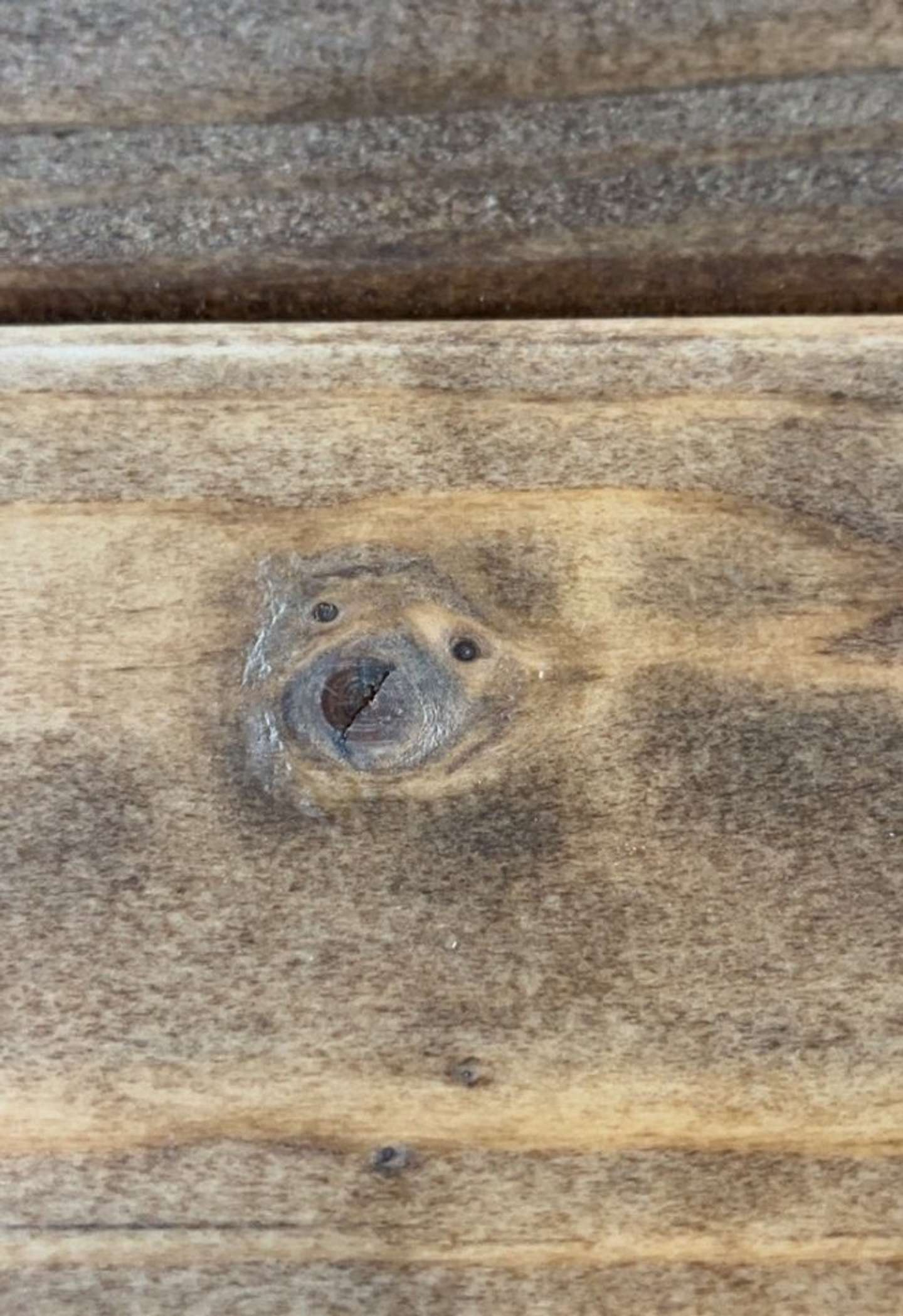 葦野（＠iaruno）さんの投稿より