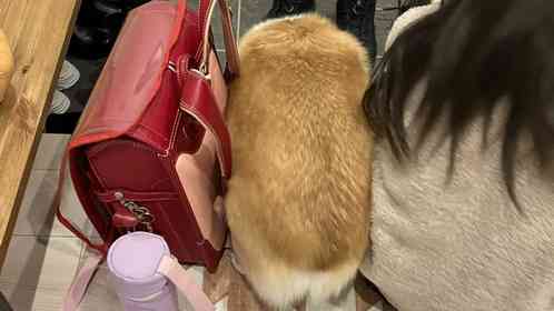 kogi_musu（＠kogi_musu）さんの投稿より