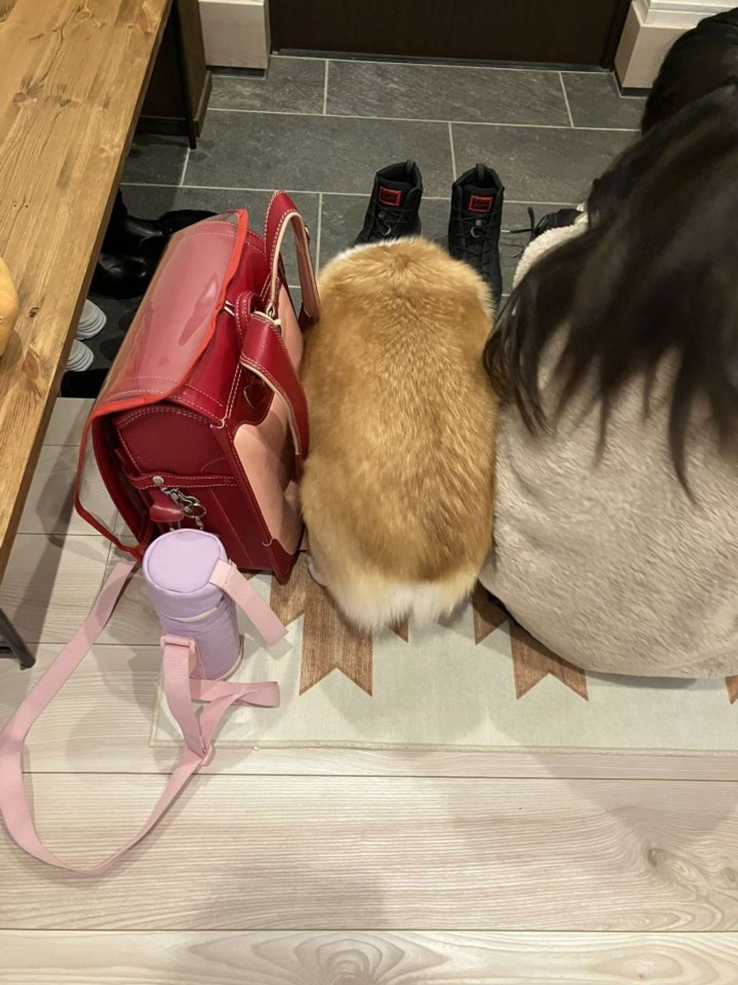 kogi_musu（＠kogi_musu）さんの投稿より、再掲