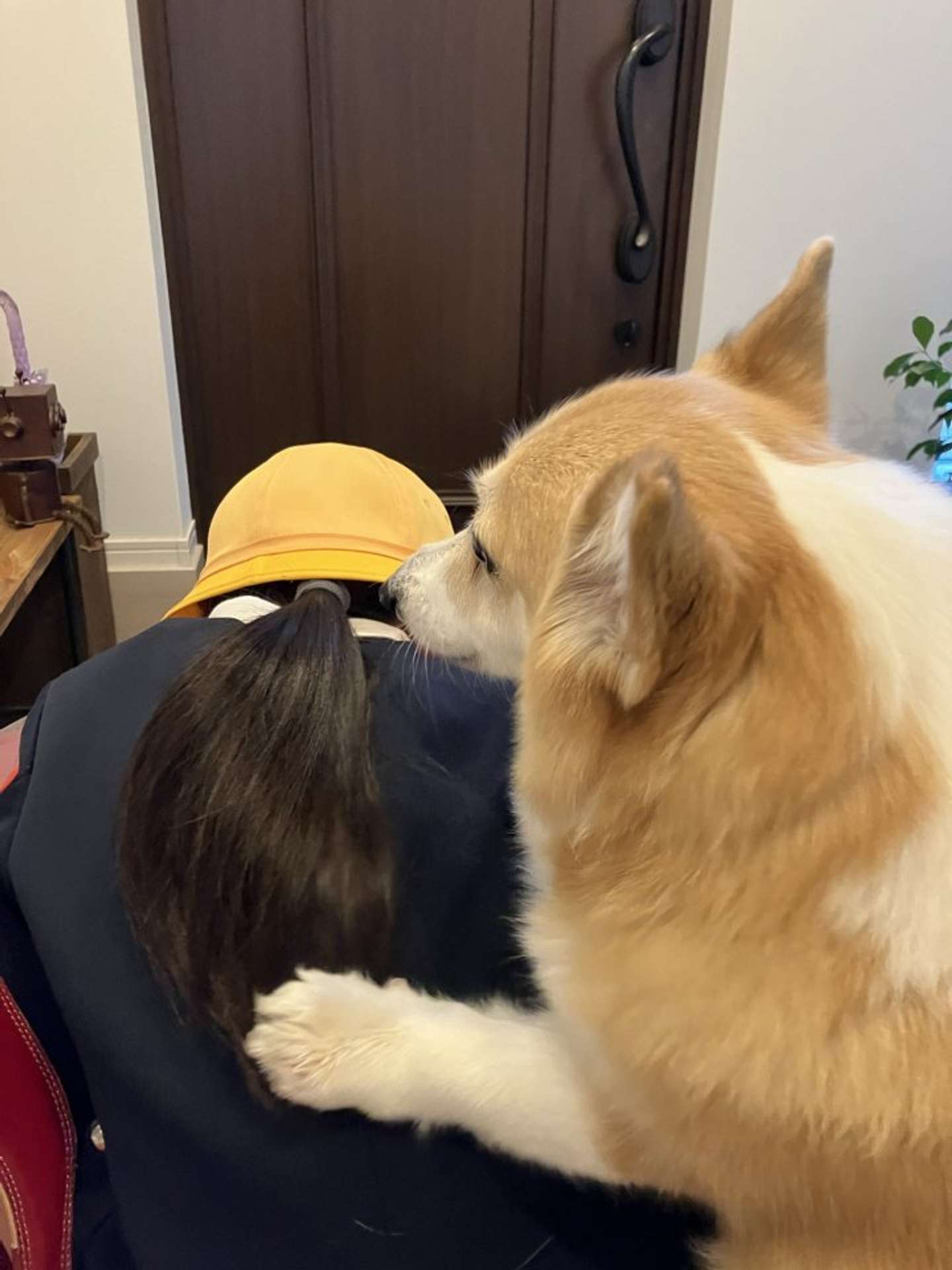 kogi_musu（＠kogi_musu）さんの投稿より