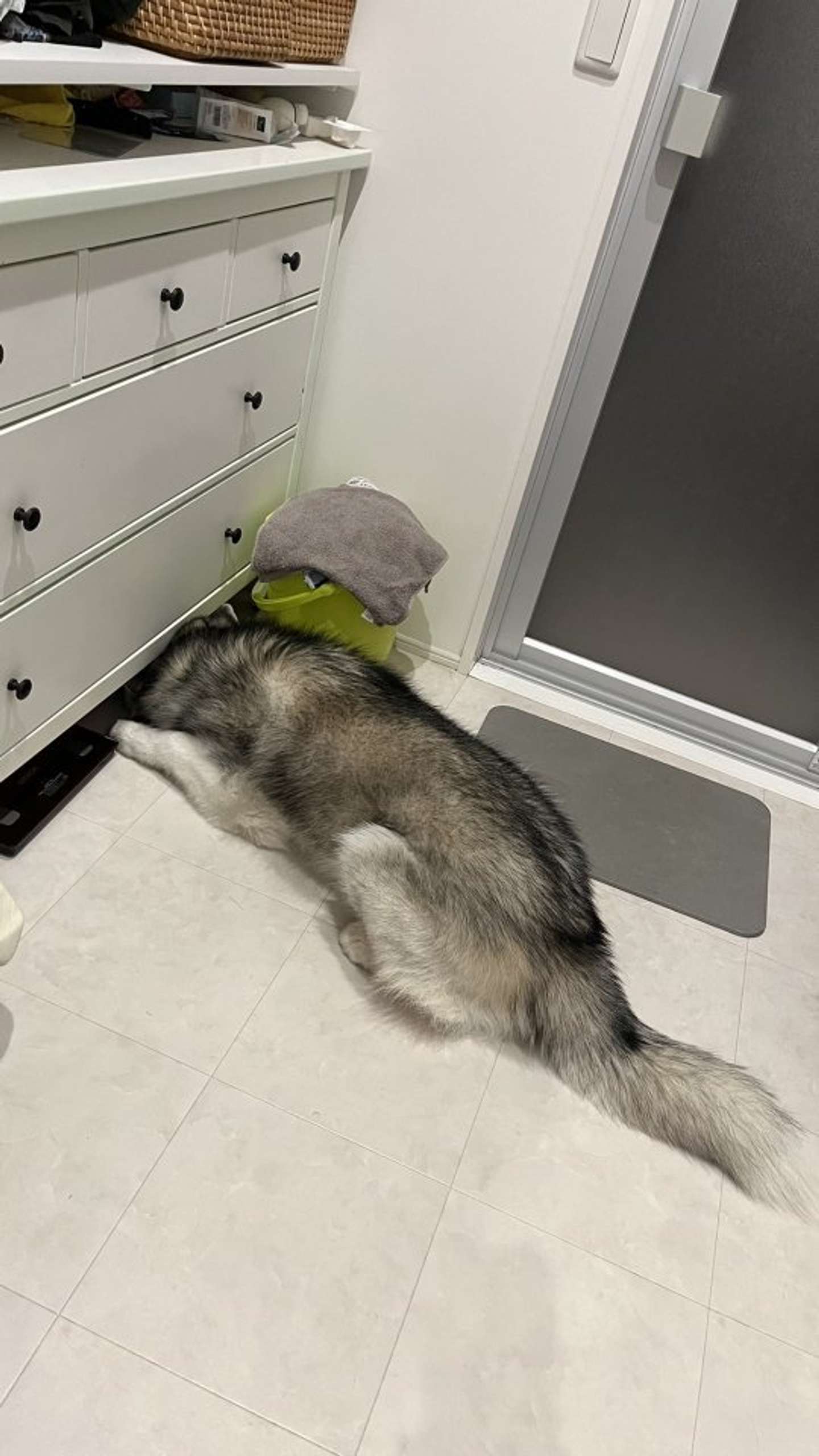 低すぎる屋根（画像提供：＠Luna_husky0603さん）