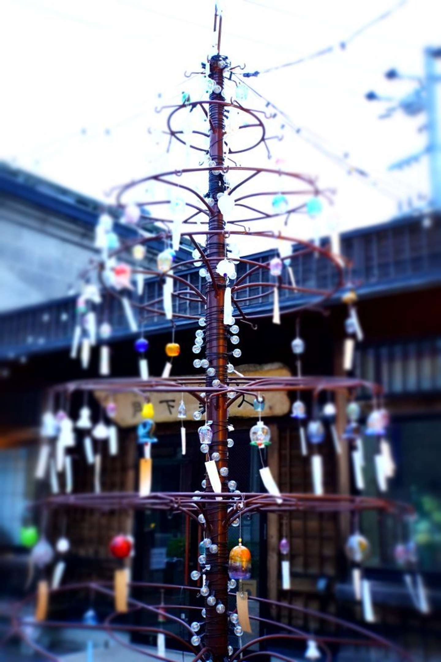 夏はランタンの代わりに風鈴が（画像提供：小樽観光協会）