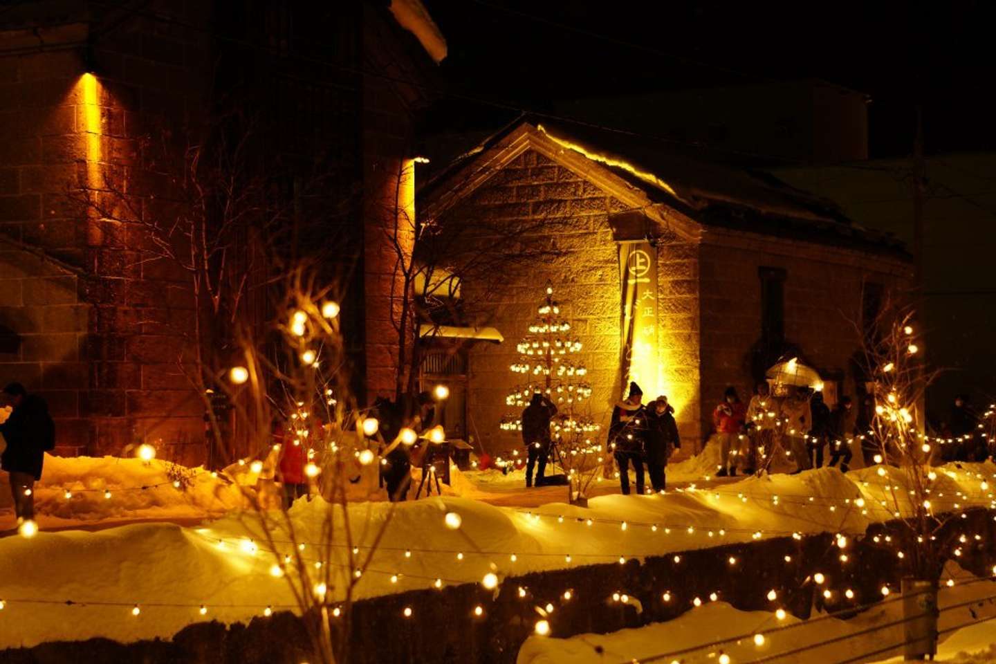 小樽の夜を彩っています（画像提供：小樽観光協会）