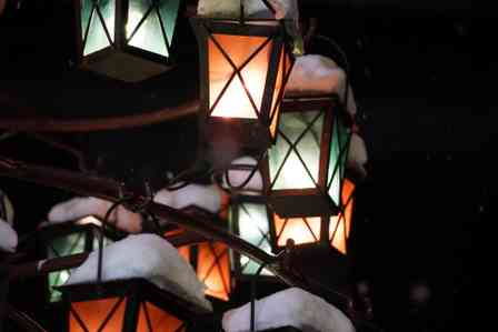 小樽の夜にキラキラ輝く〝クリスマスツリー〟に3万人うっとり　「かわいい〜！絵本みたい！」「粋な演出」