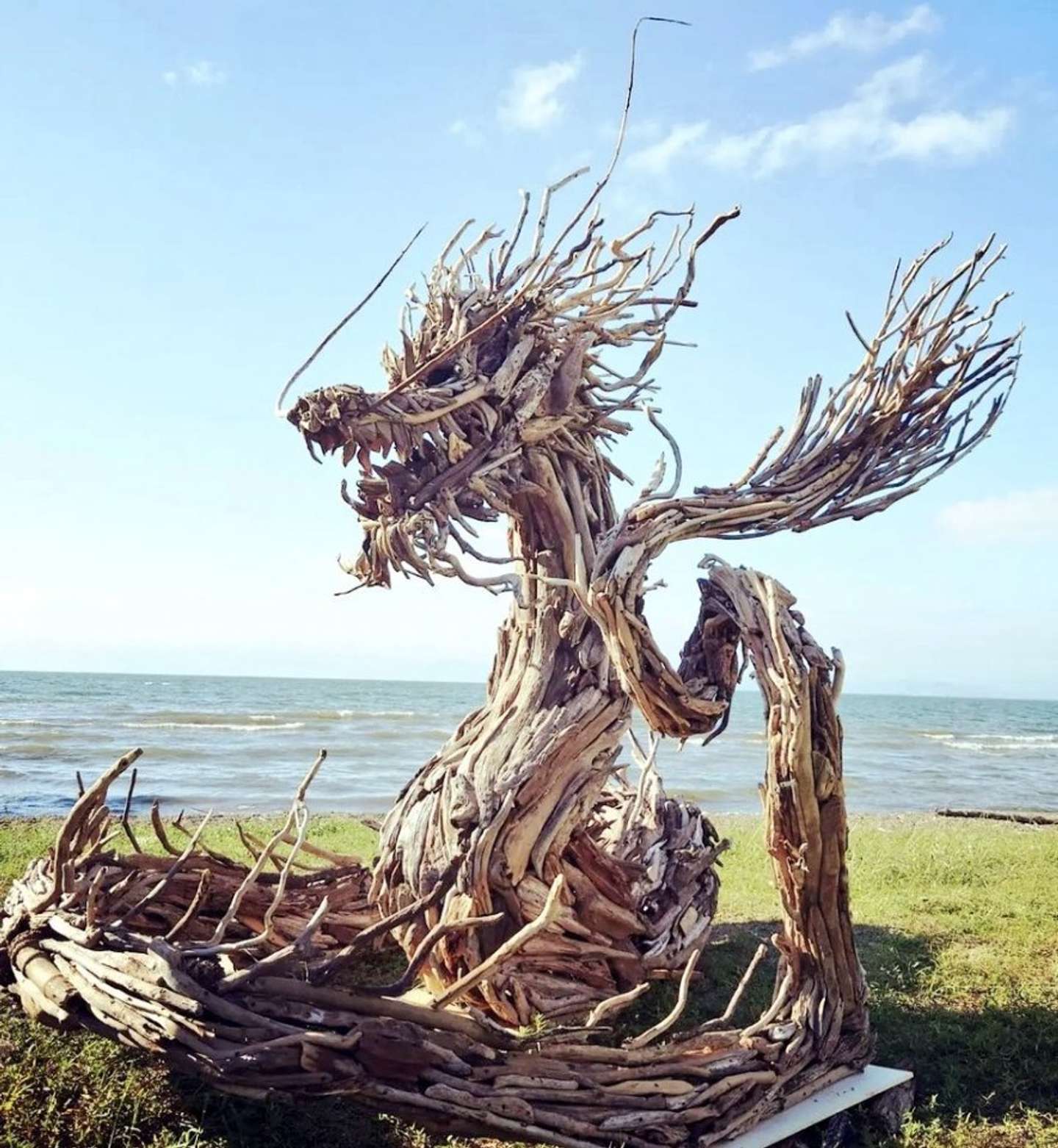 迫力満点の流木のドラゴン（画像は流木お兄さん＠ryuboku023さんの投稿より）