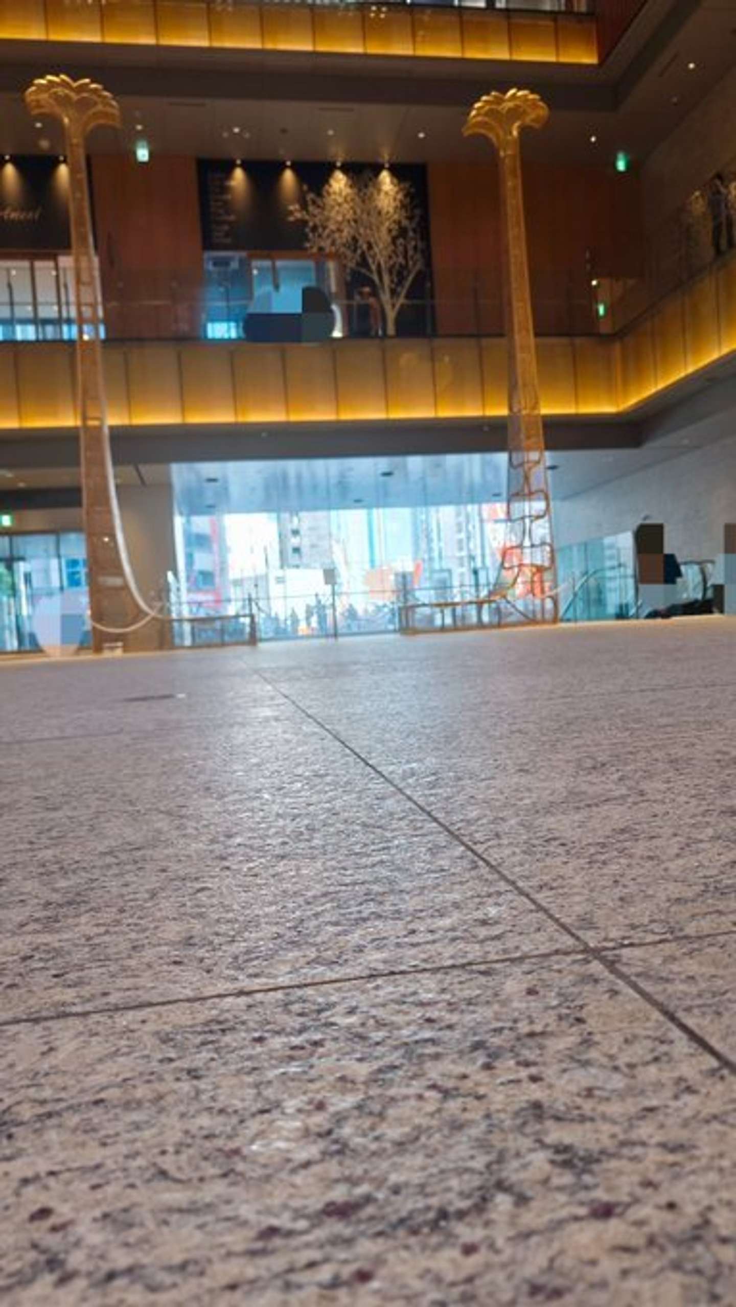 床のあちこちに...（画像はごもも＠gomomomomomomoさんの投稿より）