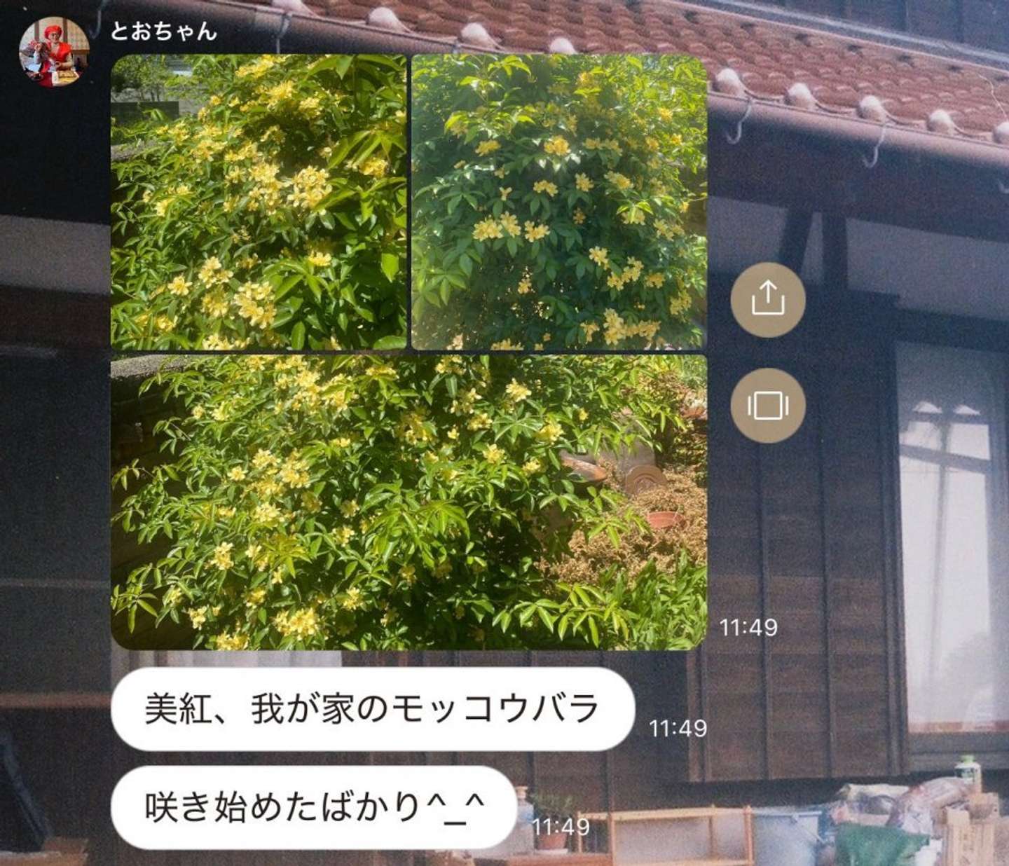 清子（＠kiyoiko_）さんの投稿より、過去の家族LINE