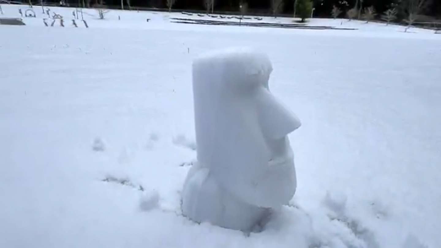 モアイの横顔（池田工業社のX投稿動画より、スクリーンショット）