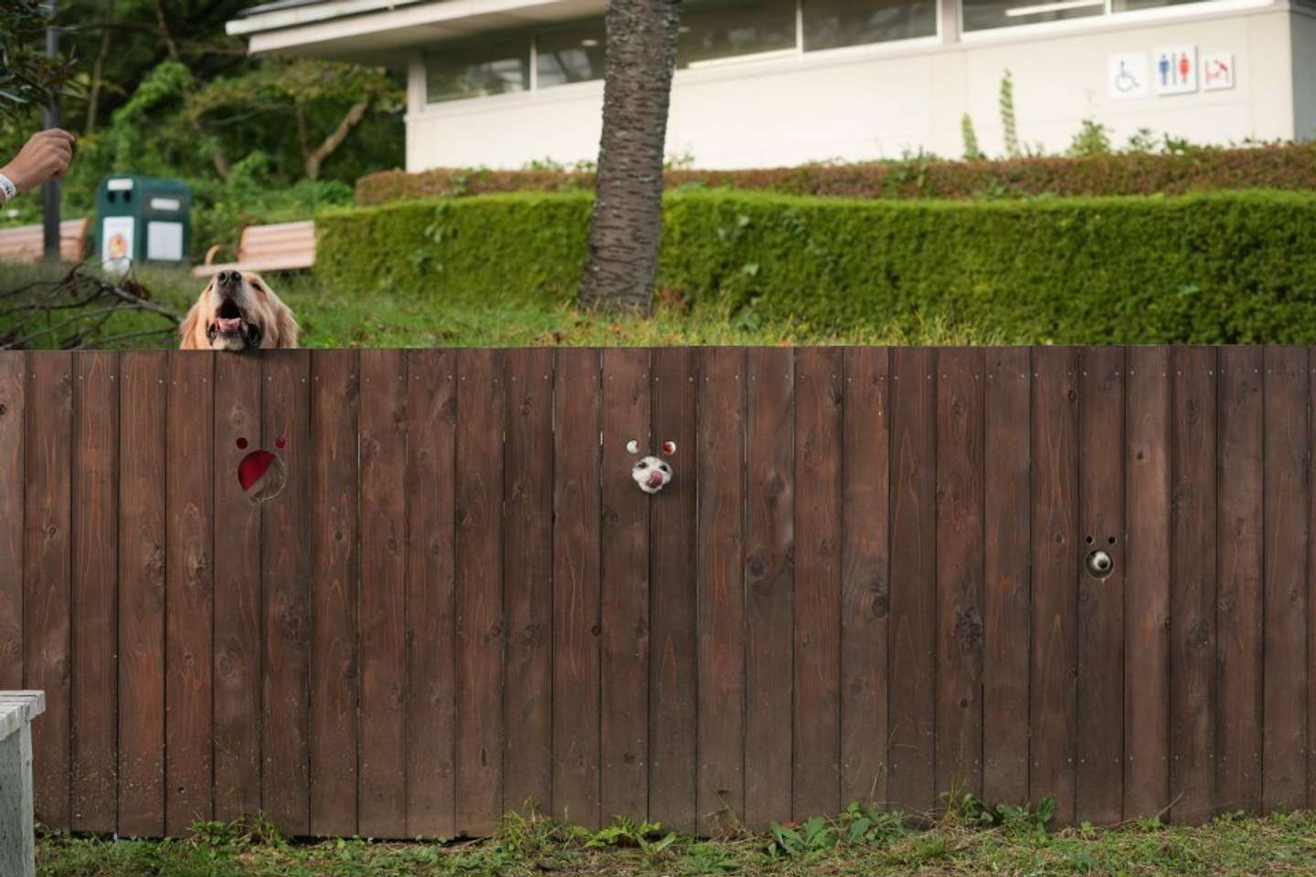 那須ハイランドパーク（＠NASUHAI）の投稿より