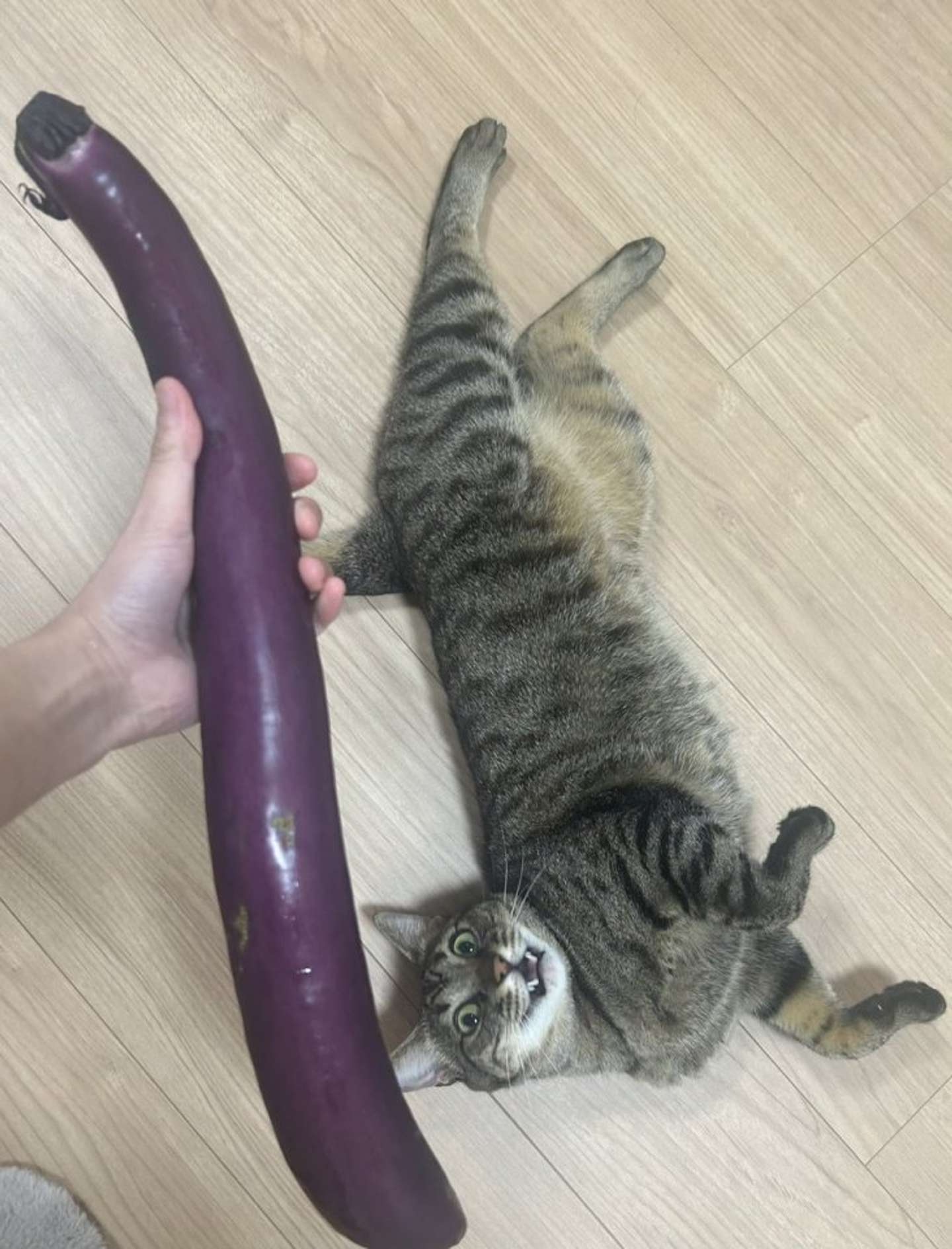 画像提供：オーナーさん