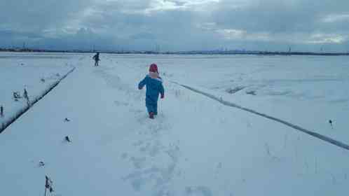 「入院中のお母さんに会いたい」　祖父母宅を抜け出した幼い兄弟は、見知らぬ人の車に拾われて