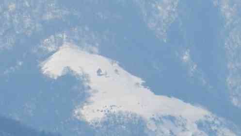 神奈川県自然環境保全センター（＠hozenc_kanagawa）の投稿より