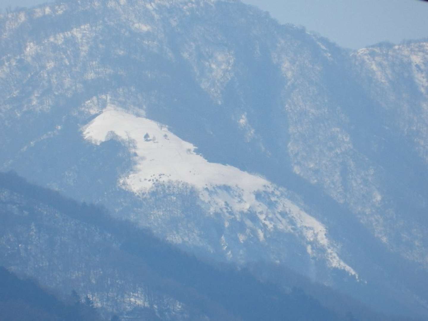 見える、見えるぞ！（画像は神奈川県自然環境保全センター公式Xより）
