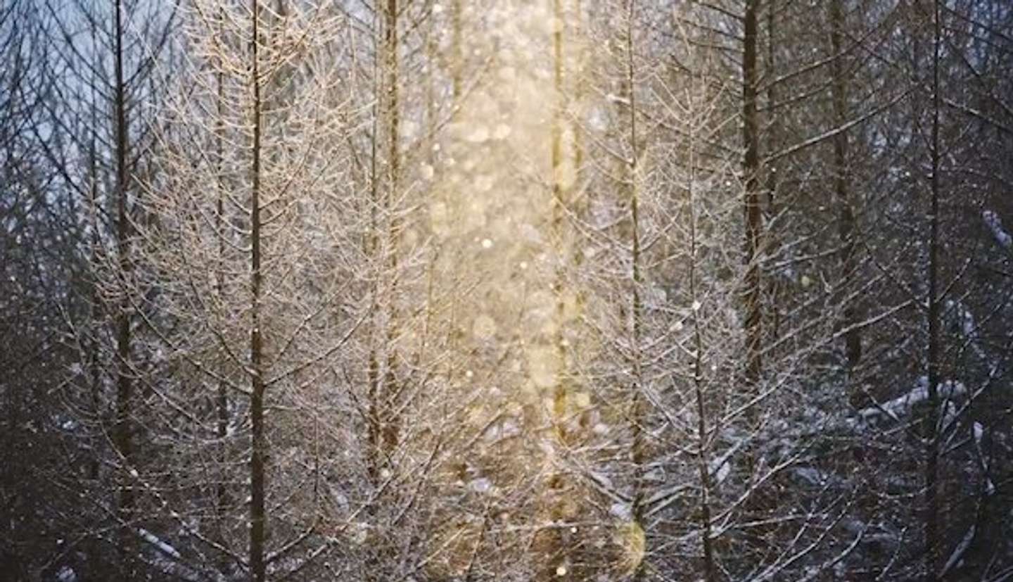 「donchan ／　坪井 智洋」さん（donchan1101）の投稿のスクリーンショット