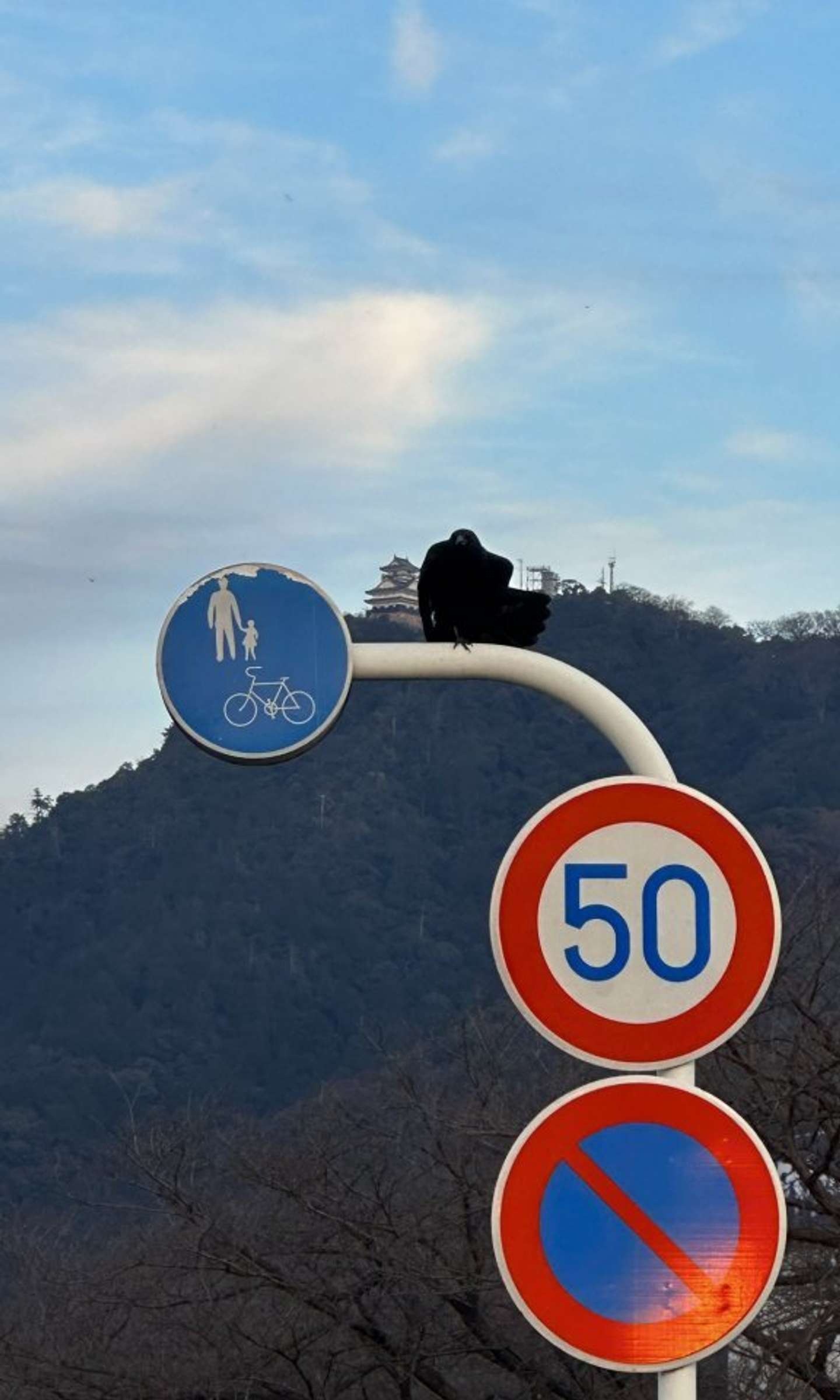 使い魔はカラス？（岐阜聖地巡礼者☆★＠gifuseichi19さんの投稿より）