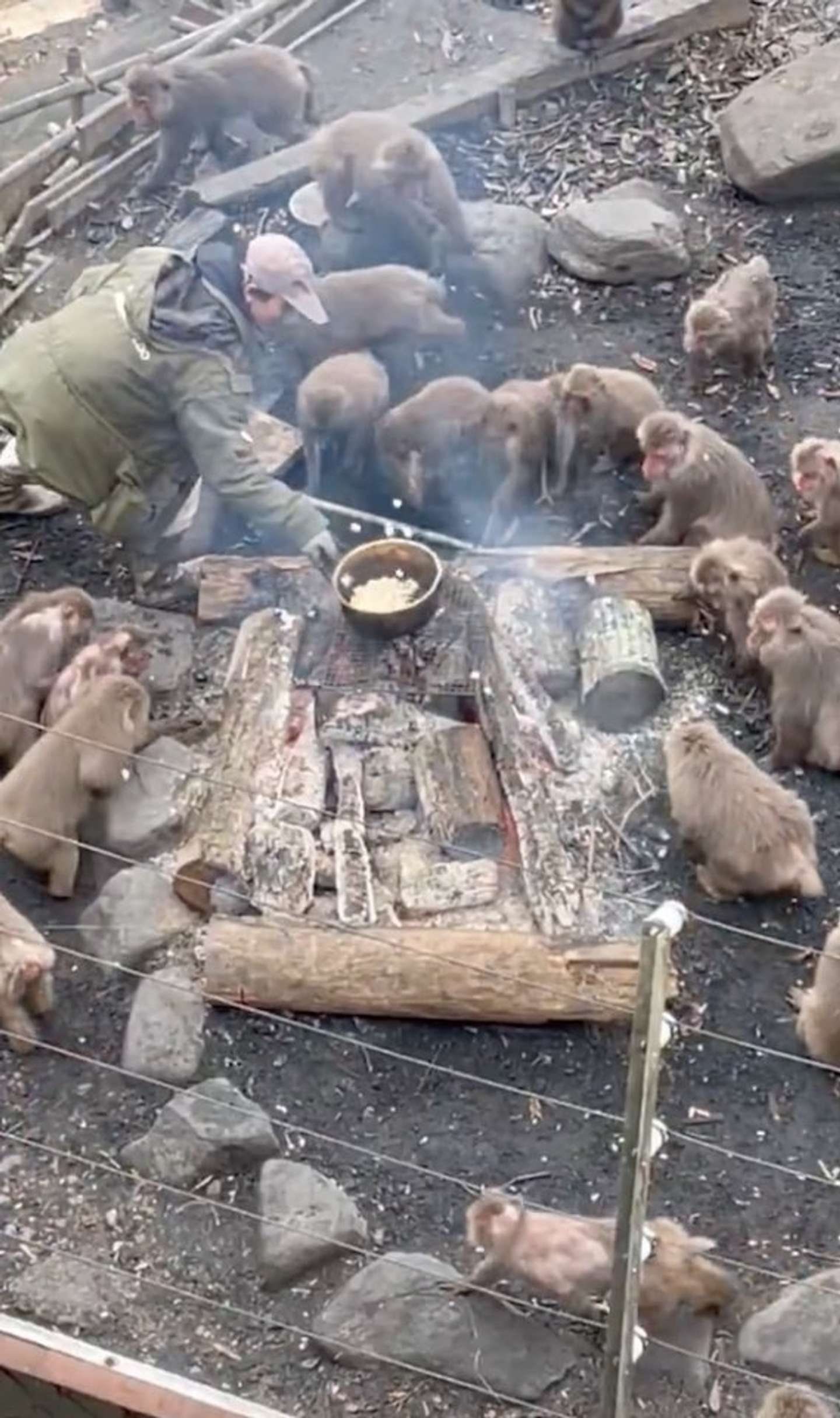 「かなよ」（＠MASlJMAB6RCDTOD）さんの投稿動画からのスクリーンショット