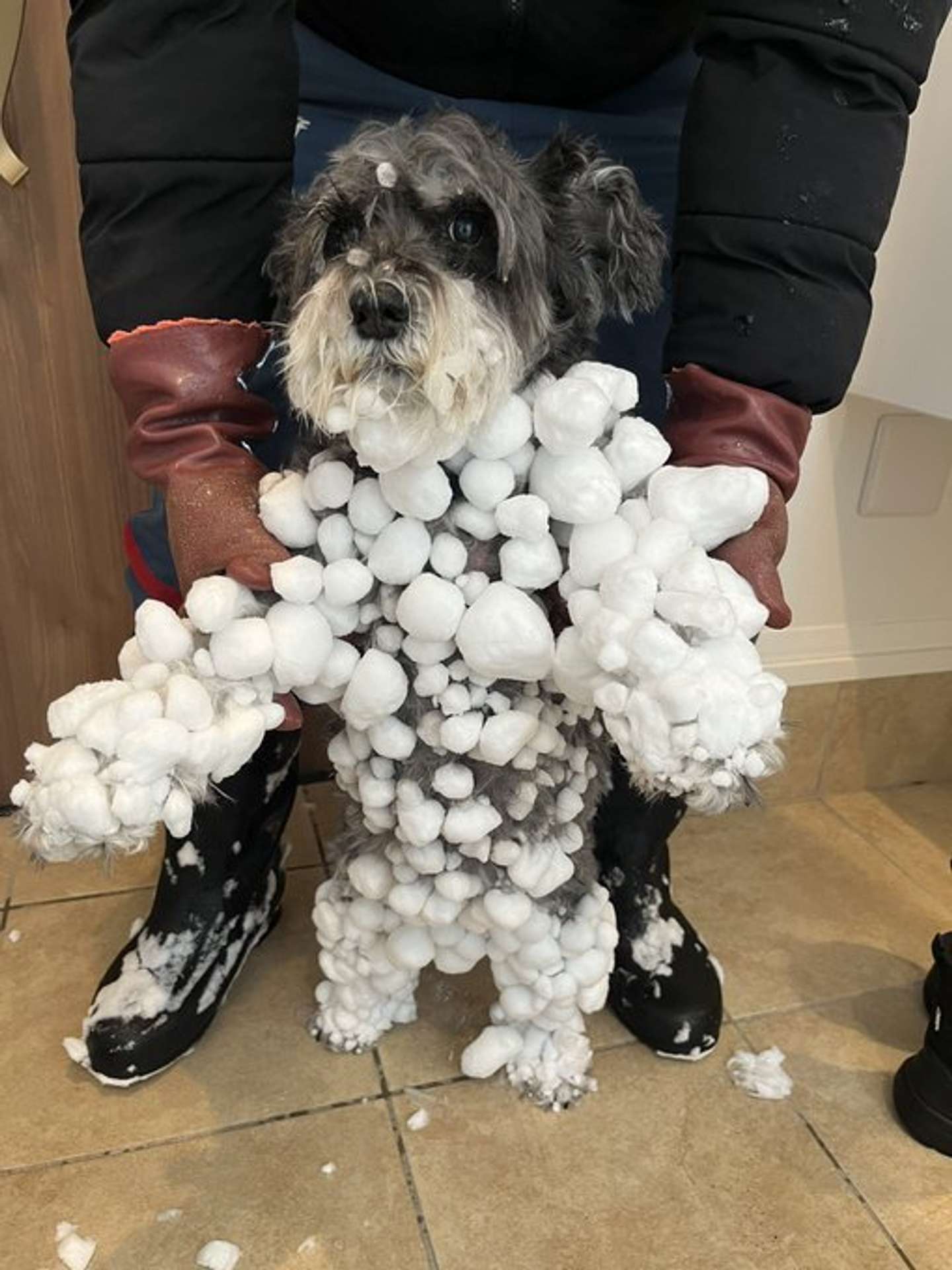 ＠kuu_chan_0109さんの投稿より、再掲