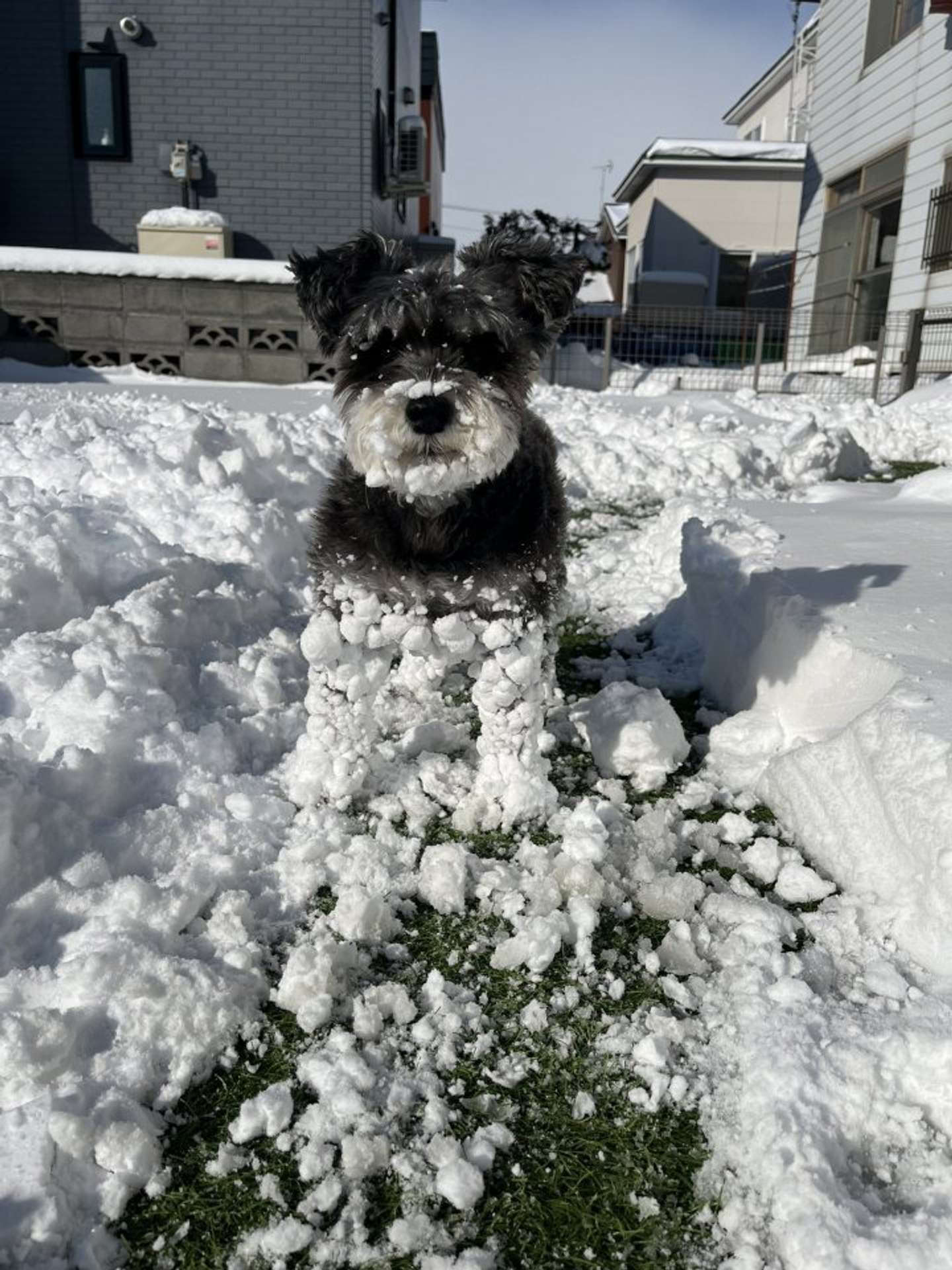 ＠kuu_chan_0109さんの投稿より