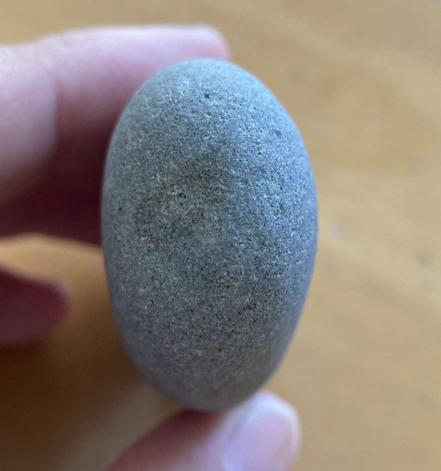 側面で「カニ入り」を判断したという石ころ　Takeshi（＠angustidens）さんの投稿より