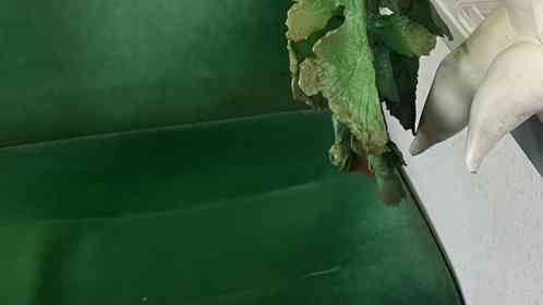 「終点までこいつと相席なのおもろすぎる」　電車で座ってた〝まさかの相手〟に12万人困惑