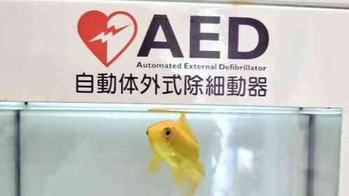 「僕の知ってるAEDとちょっと違うな」　高知・むろと廃校水族館の設備に10万人驚がく